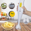 Raf Hand Blender 300W R255